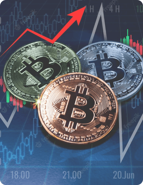 Crypto Insights